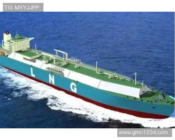 专业解析LNG如何通过反击策略在市场竞争中逆袭成功 专业解析LNG如何通过反击策略在市场竞争中逆袭成功