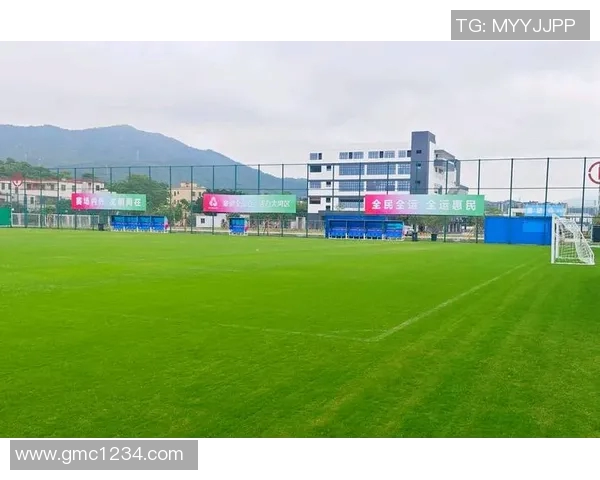 广州足球队技术表现深度分析与数据解读探讨 广州足球队技术表现深度分析与数据解读探讨