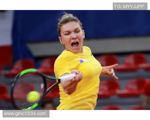 广州网球队在联合会杯中的技术表现分析与点评