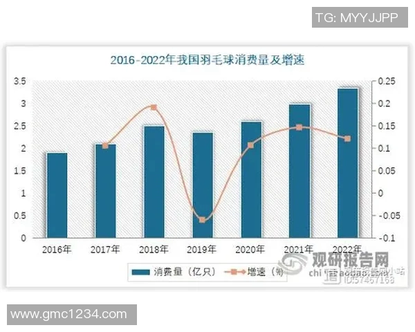 西安羽毛球队个人能力深度对比分析与发展潜力探讨 西安羽毛球队个人能力深度对比分析与发展潜力探讨
