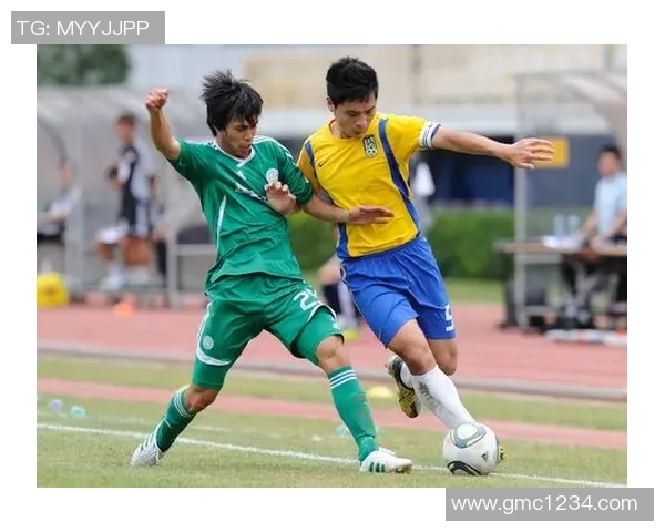 香港足球明星队歌单精选激发热情与团结的旋律 香港足球明星队歌单精选激发热情与团结的旋律