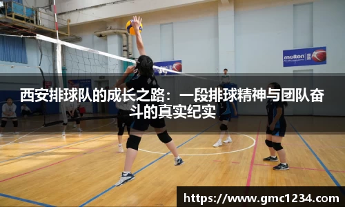 DG视讯官方网站