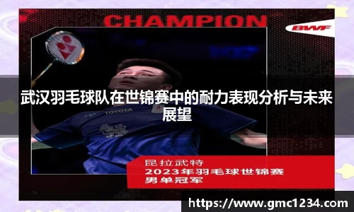武汉羽毛球队在世锦赛中的耐力表现分析与未来展望