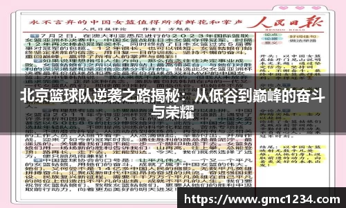 DG视讯