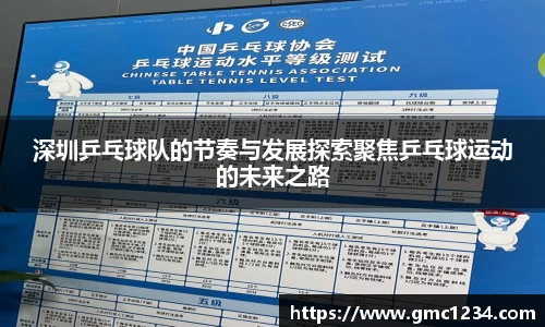 深圳乒乓球队的节奏与发展探索聚焦乒乓球运动的未来之路