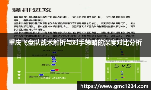 DG视讯