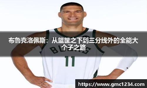 布鲁克洛佩斯：从篮筐之下到三分线外的全能大个子之路